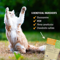 Pet Naturals sachet ouvert avec pastilles, accès facile pour administration