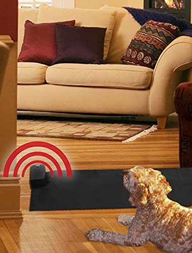 Pet Parade tapis dans un salon moderne montrant usage quotidien et prévention