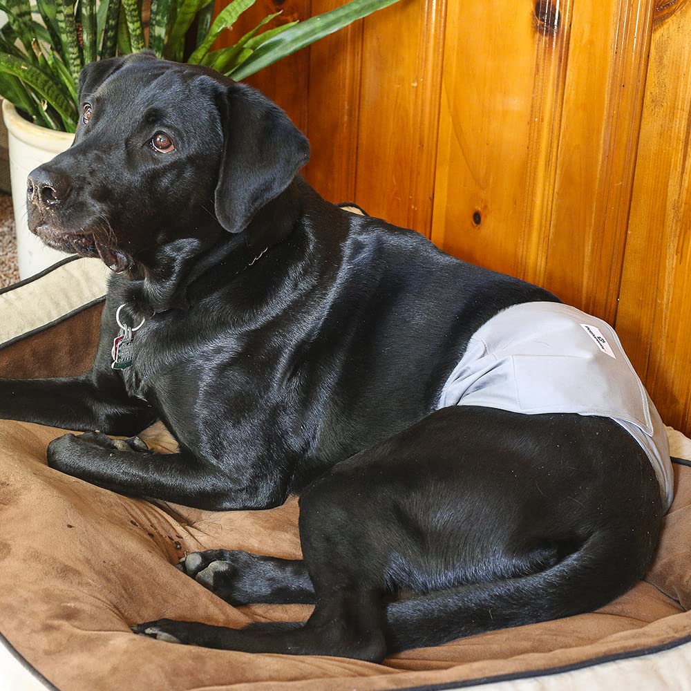 Pet Parents couche extérieure imperméable protege mobilier et tapis