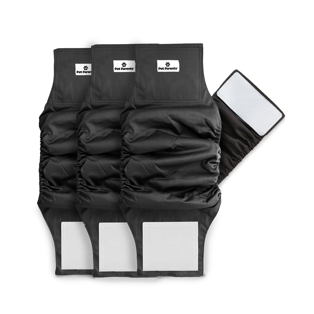 Pet Parents bandelette face noir montrant coupe confortable et maintien