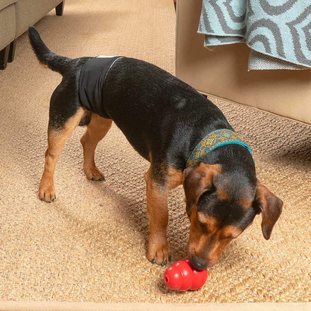 Pet Parents rangement après lavage illustrant entretien et durabilité