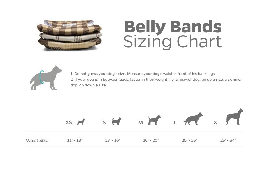 Pet Parents insert absorbant cousu, absorption renforcée adaptée