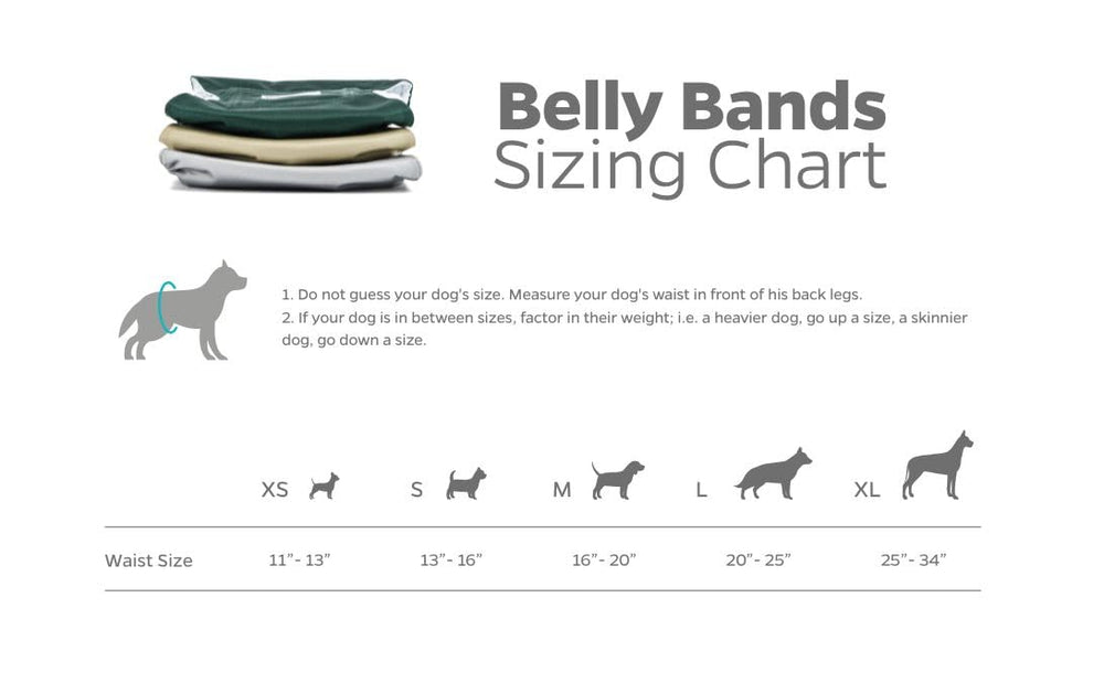 Pet Parents guide d'échelle montrant la taille Large et le positionnement