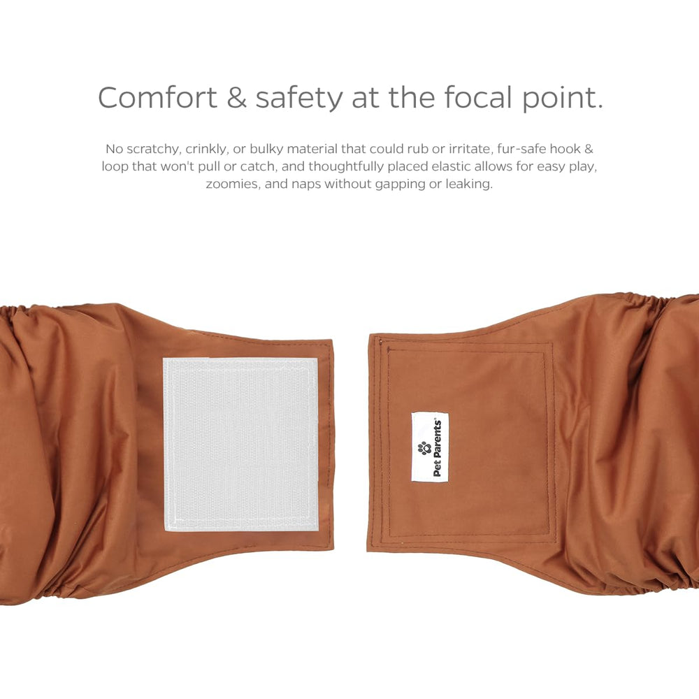 Chien assis portant une belly band Pet Parents, protection discrète et confortable
