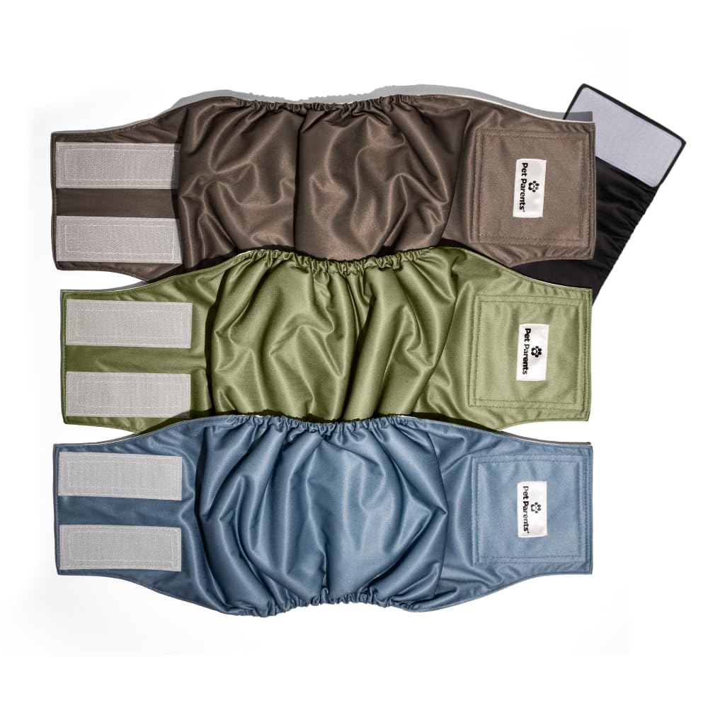 Pet Parents vue avant d'une belly band Koda montrant l'ajustement confortable