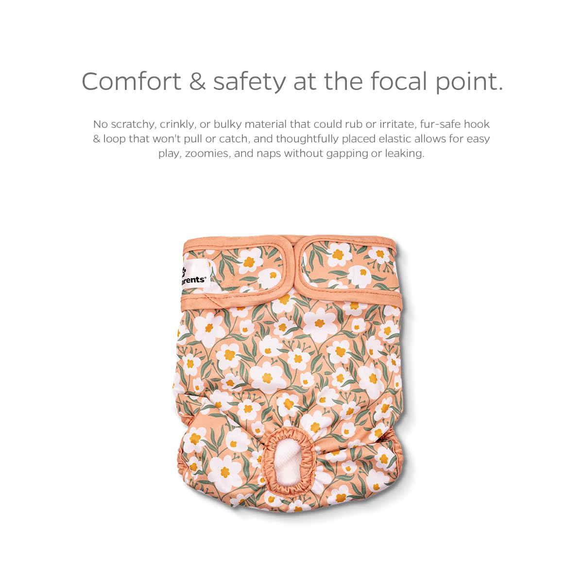 Pet Parents petit chien portant la couche illustrant protection en situation