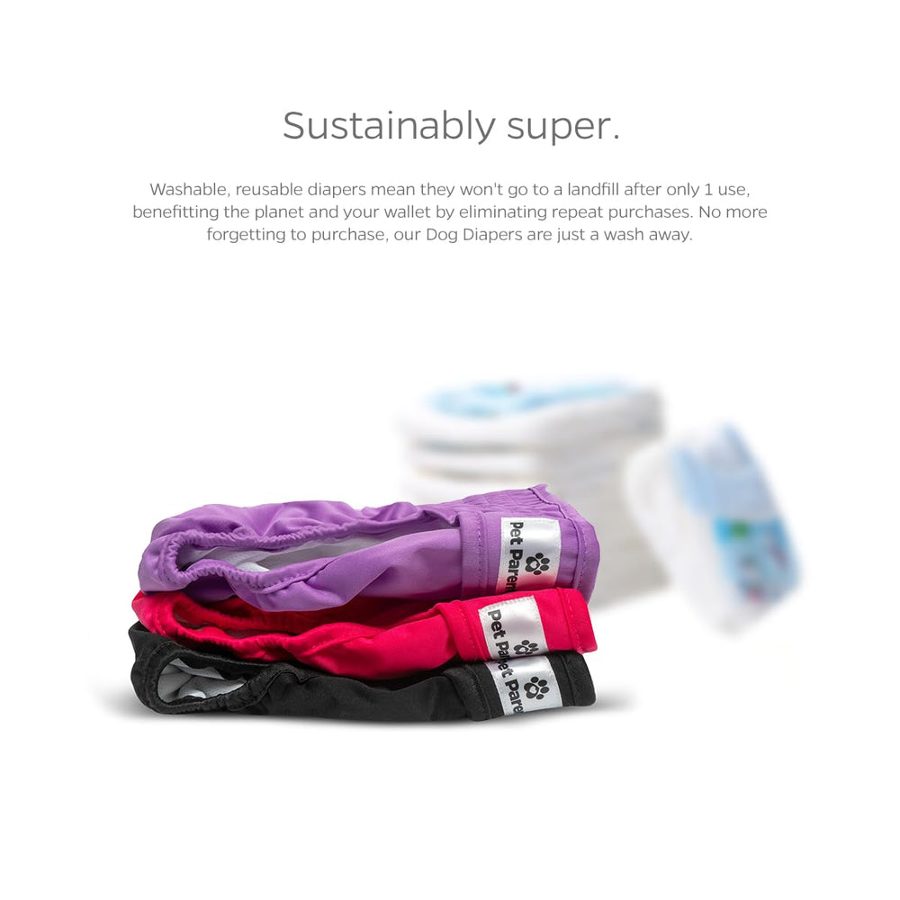 Pet Parents comparaison taille avec règle aidant à choisir la bonne coupe
