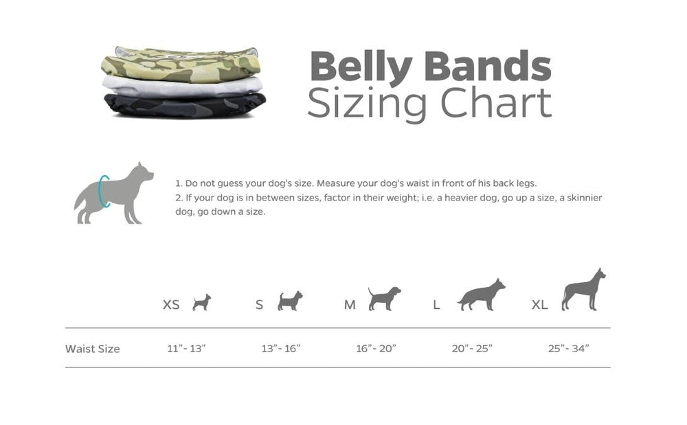Pet Parents mesure du tour de taille pour choisir correctement la taille