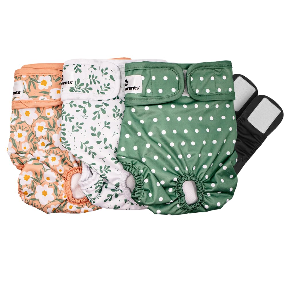 Pet Parents vue avant de la couche Medium montrant la coupe et protection
