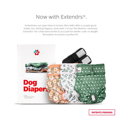 Pet Parents détail du Velcro et élastique offrant ajustement sûr