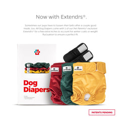 Pet Parents gros plan insert absorbant montrant texture WickQuick, avantage absorption renforcée