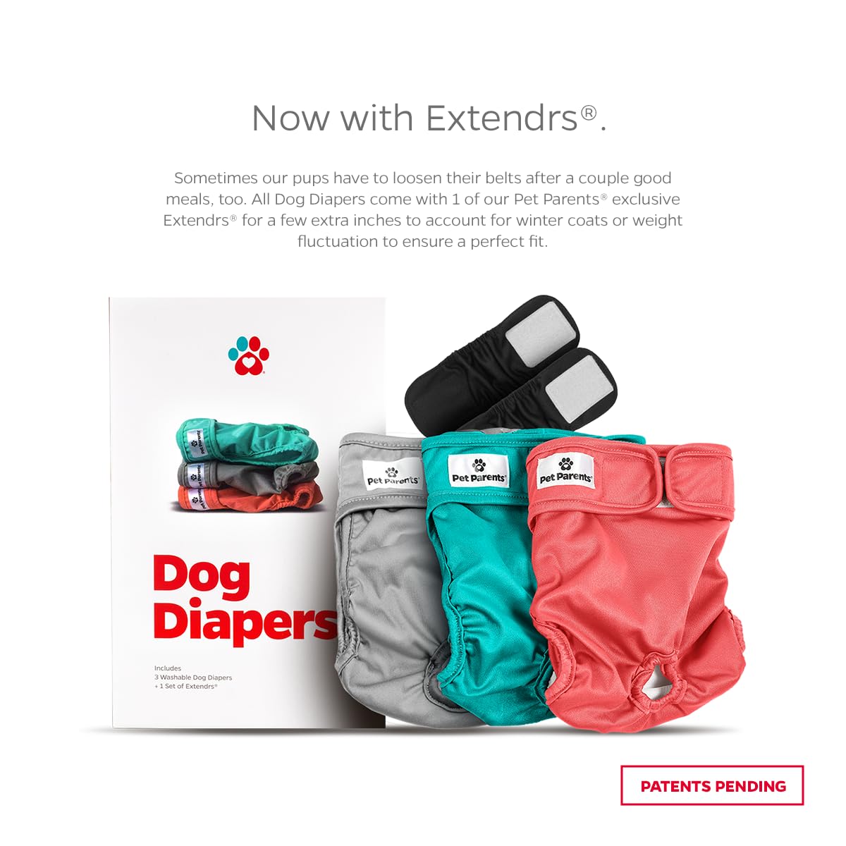 Pet Parents gros plan Velcro et élastique garantissant maintien confortable