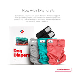 Pet Parents gros plan Velcro et élastique garantissant maintien confortable