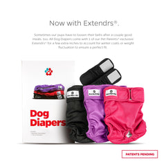 Pet Parents gros plan doublure absorbante démontrant évacuation d'humidité