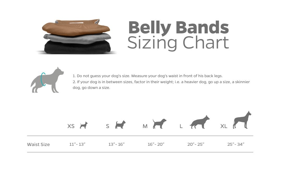 Pet Parents Extendrs en gros plan, permet un ajustement plus confortable