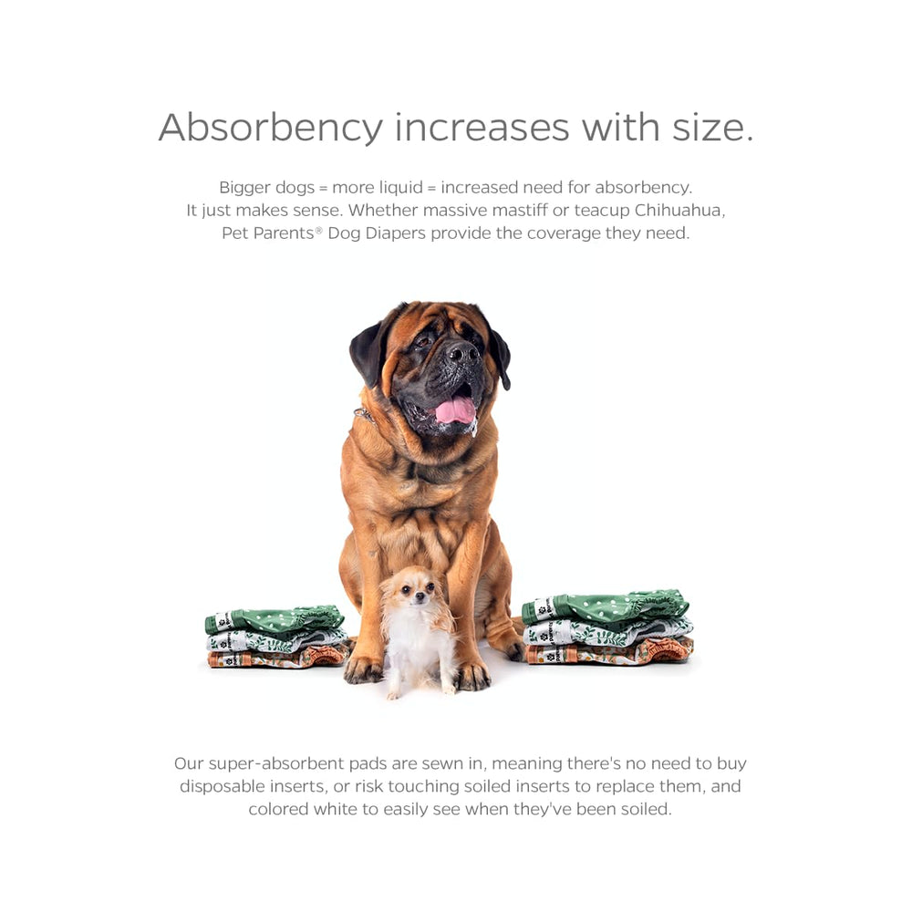 Pet Parents Extendrs inclus montrant gain d'un pouce pour confort