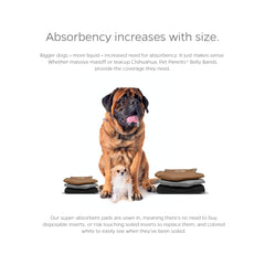 Pet Parents détail fermeture hook & loop, ajuste sans accrocher le pelage