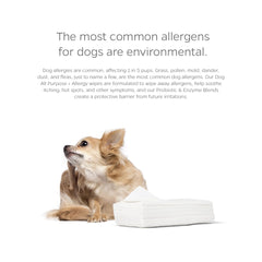 Pet Parents lingette gros plan montrant texture douce, nettoie efficacement