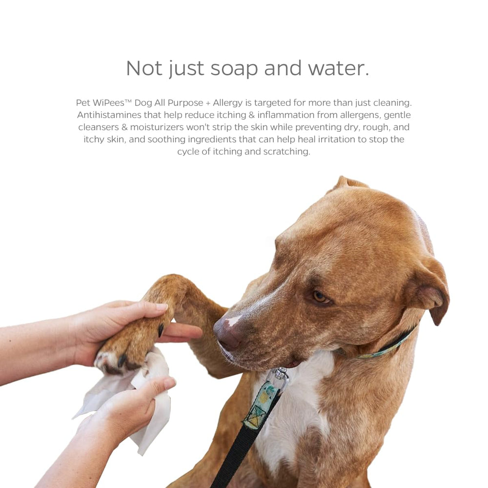 Pet Parents lingette appliquée sur hot spot, nettoie et soulage