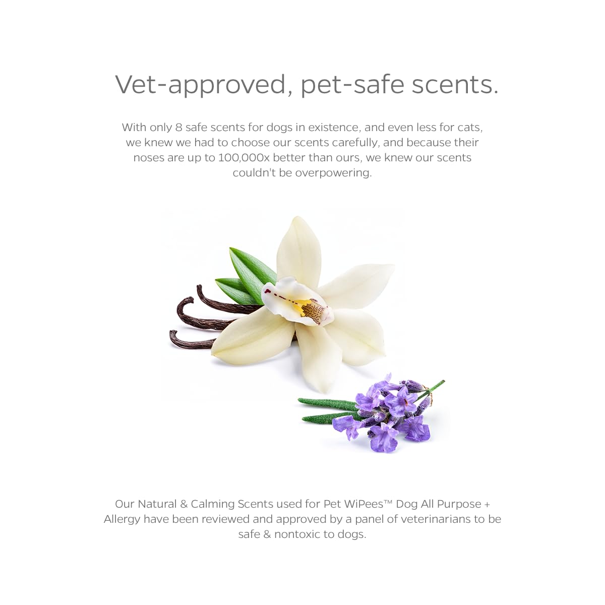 Pet Parents lingette nettoyant oreille externe, réduit les irritations