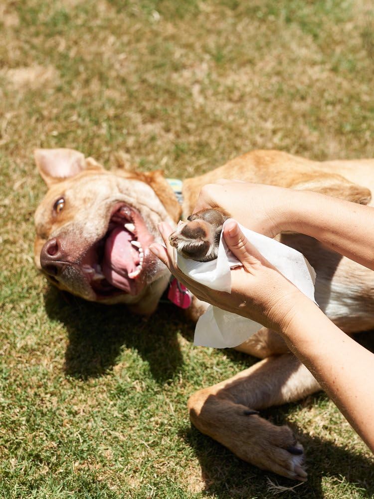 Pet Parents lingette sur plis cutanés, aide à calmer rougeurs