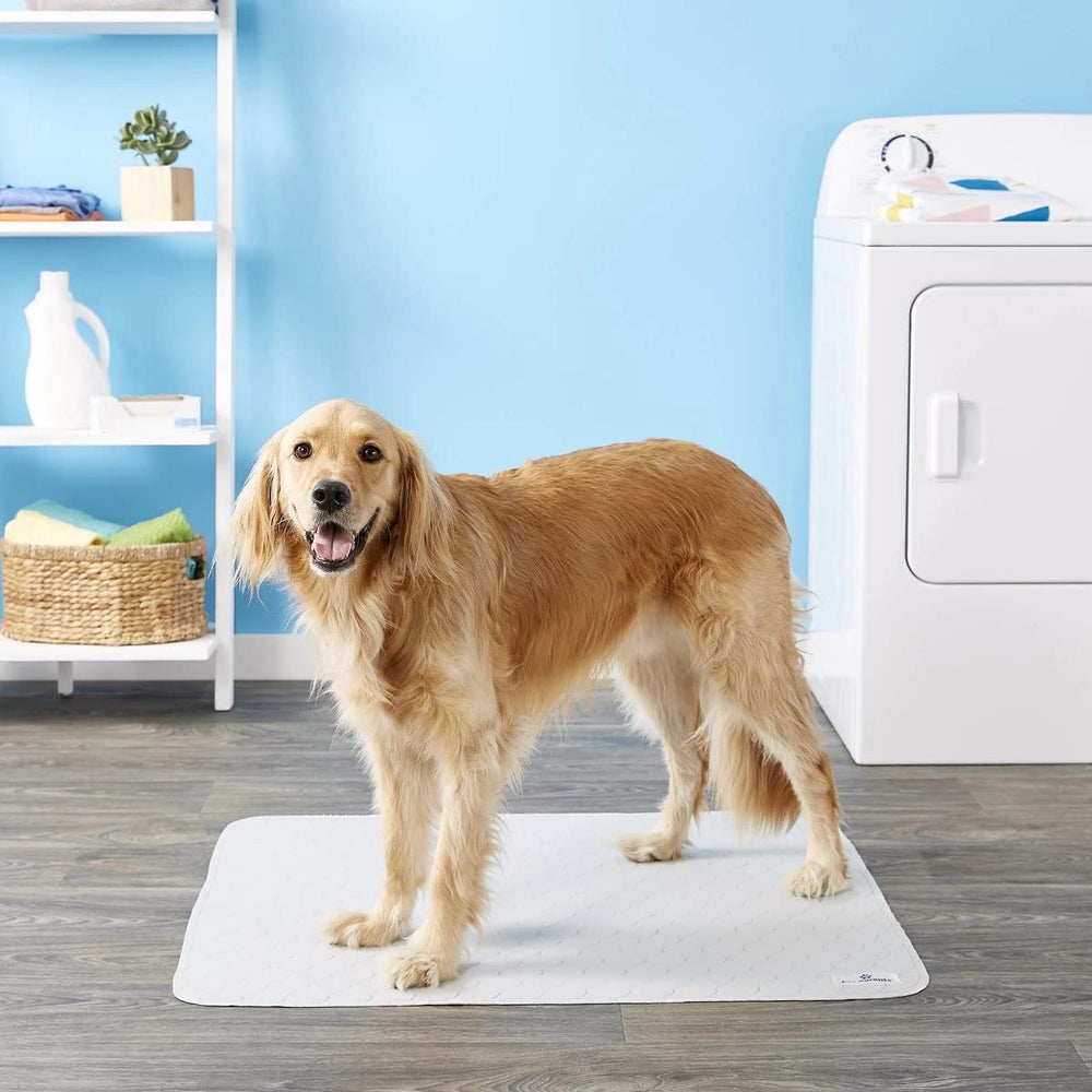 Pet Parents Pawtect comparaison taille 104x104 cm près d'objets, protège large surface