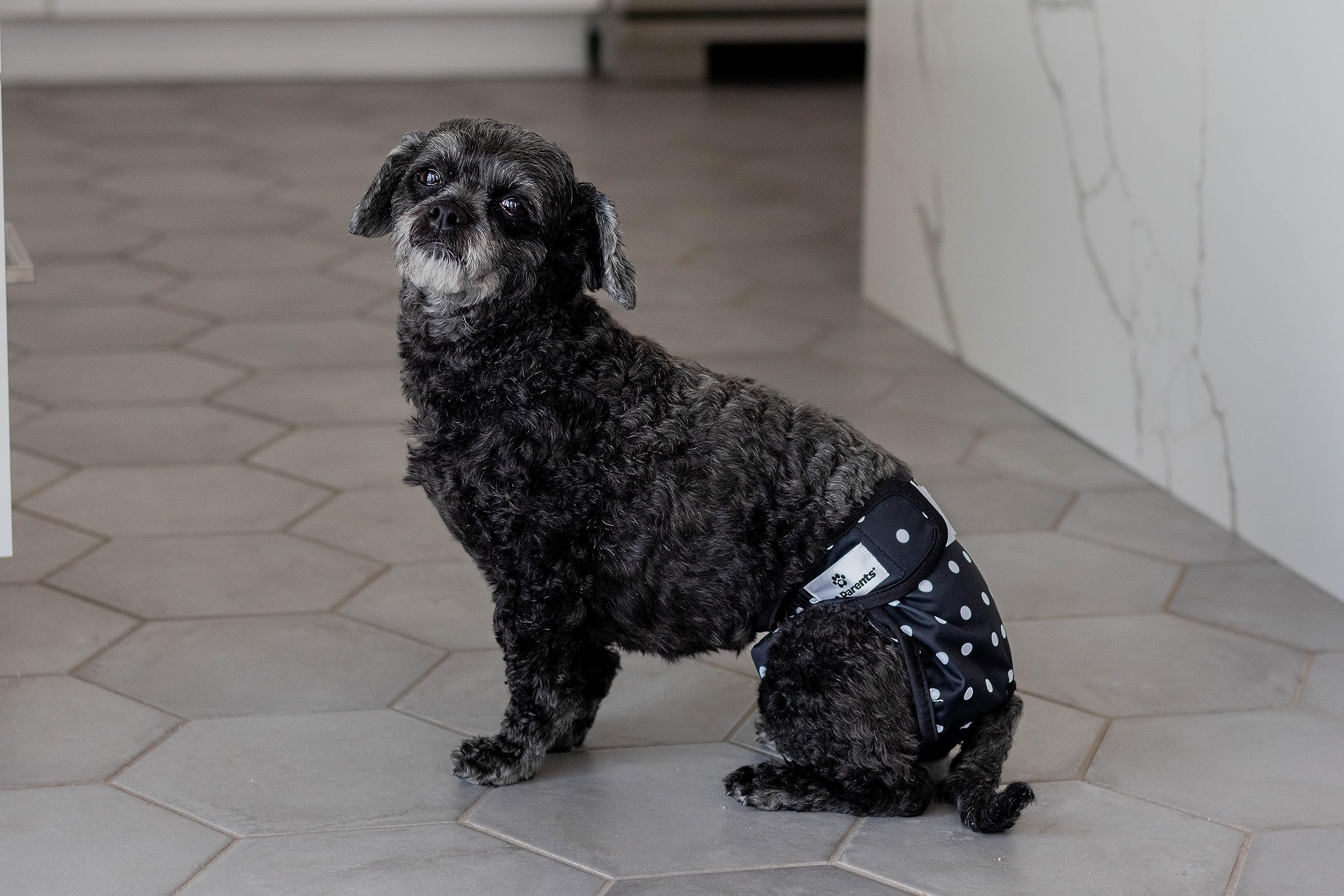 Pet Parents tissu souple en gros plan apportant confort prolongé