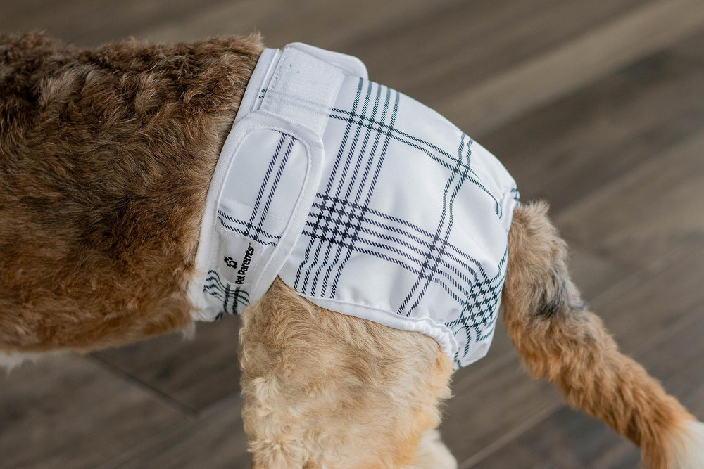 Pet Parents alignement des trois couches montrant rotation lavage facile