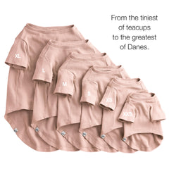 Pet Passion chien enfilant le t-shirt, facilité d'habillage démontrée