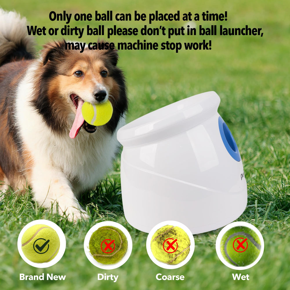 Pet Prime six balles 2,5" et adaptateur inclus garantissant compatibilité immédiate