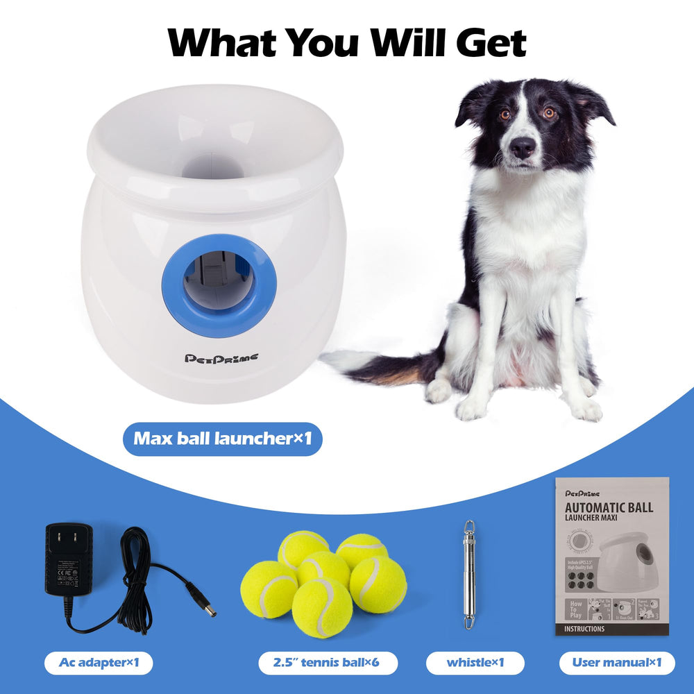 Pet Prime comparaison d'échelle avec un grand chien pour évaluer la taille