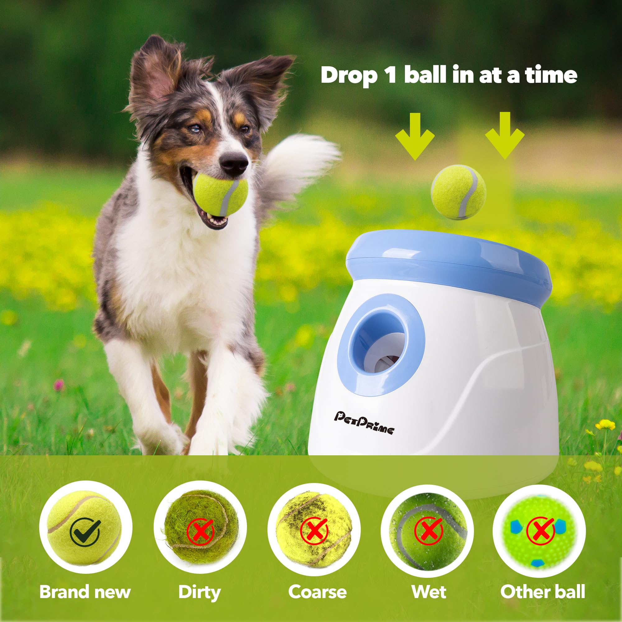 Pet Prime comparaison de taille à côté d’un objet du quotidien, compacité pratique