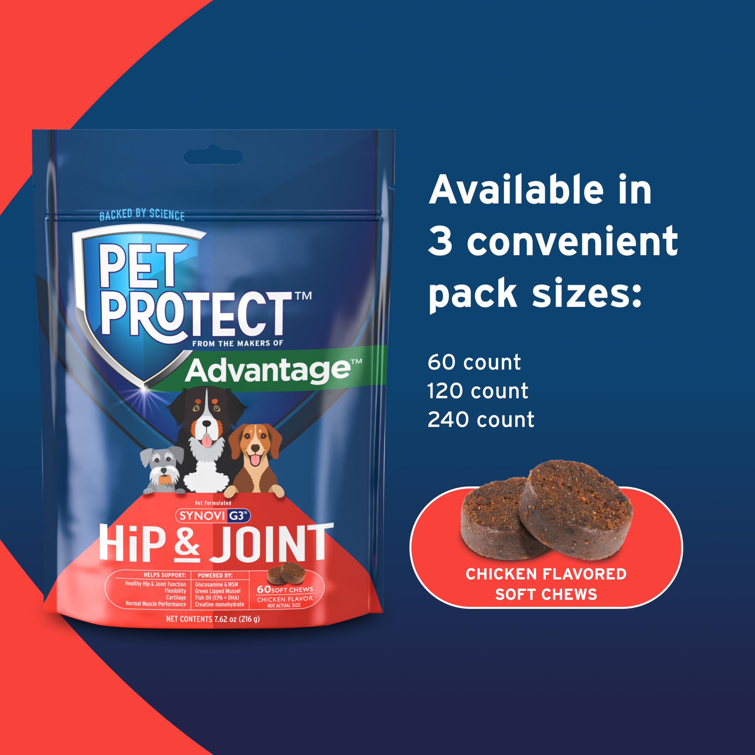 Pet Protect chien prenant une friandise facilitant l'administration quotidienne