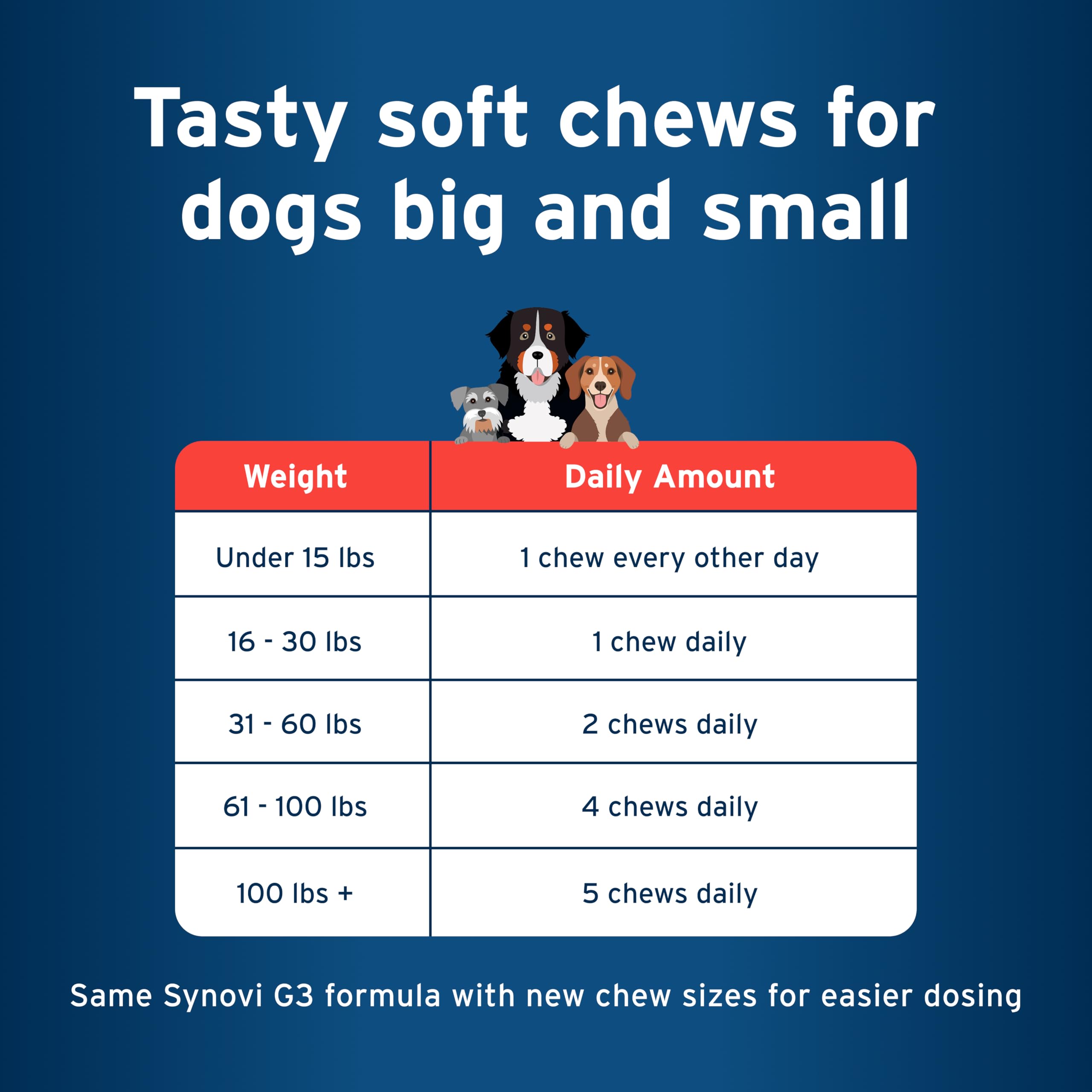 Pet Protect chien prenant une bouchée, favorise administration aisée