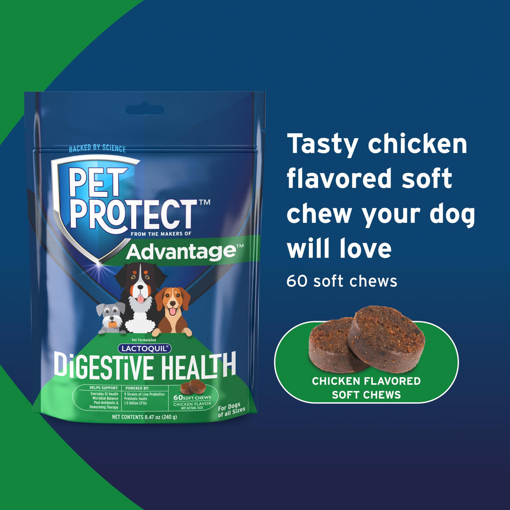 Pet Protect comparaison taille avec une patte de chien pour visualiser proportions