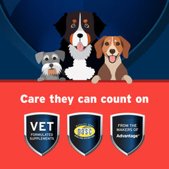 Pet Protect croquette tenue en main pour évaluer la taille et facilité