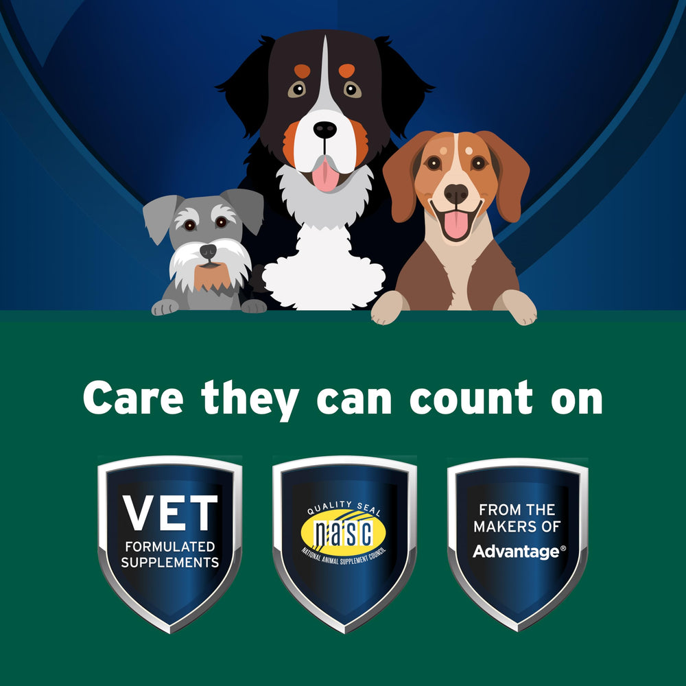 Pet Protect dose du gel sur cuillère pour un dosage précis et pratique