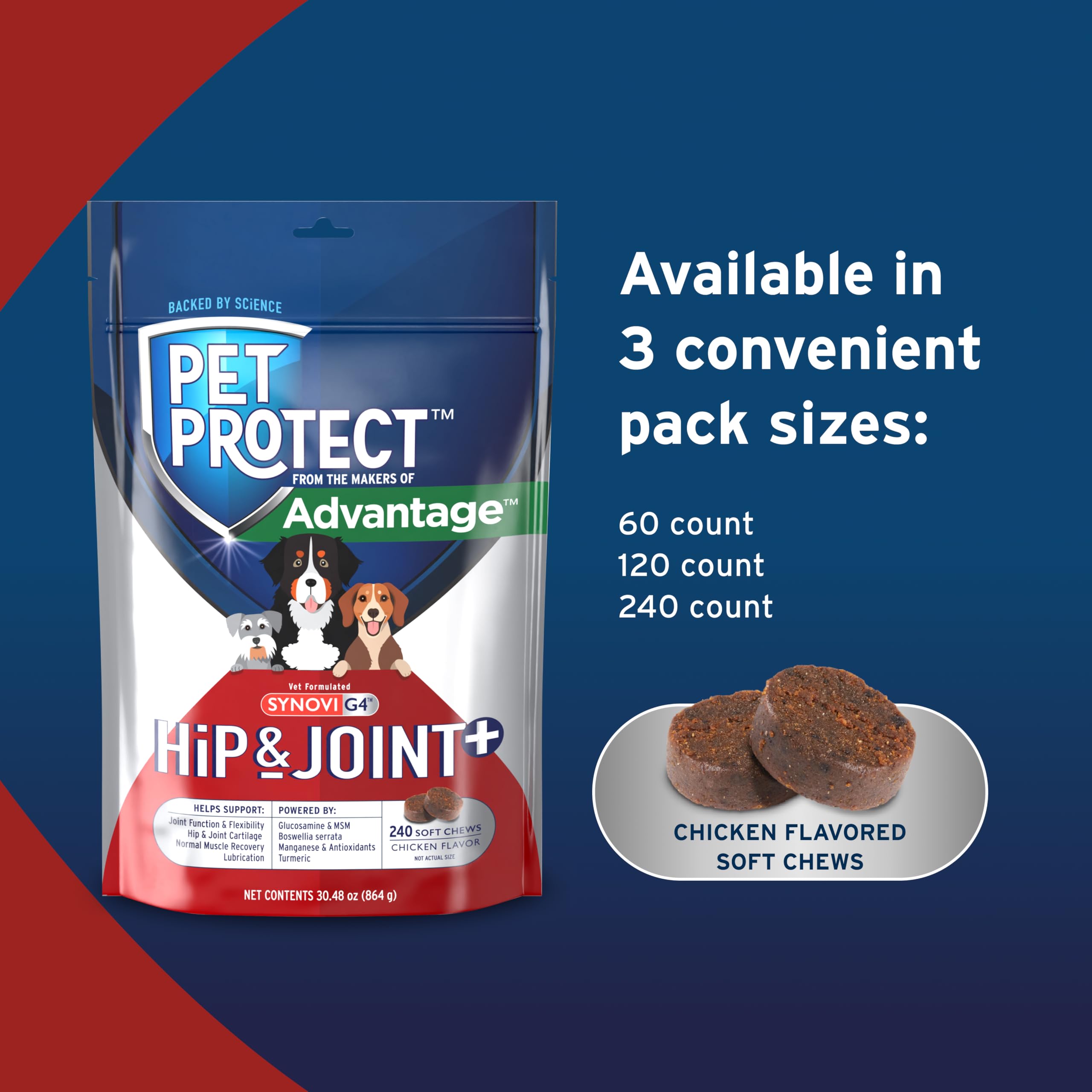 Pet Protect chien recevant la bouchée pour administration simple après repas