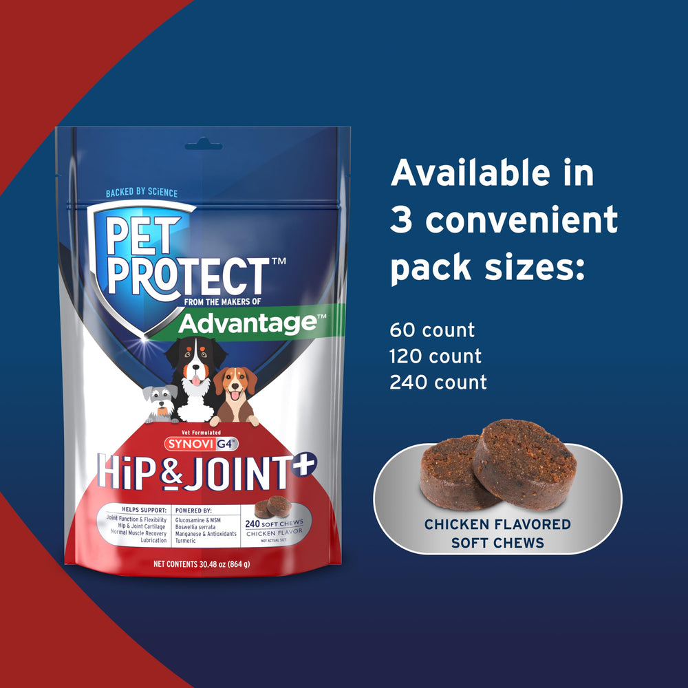 Pet Protect chien recevant la bouchée pour administration simple après repas