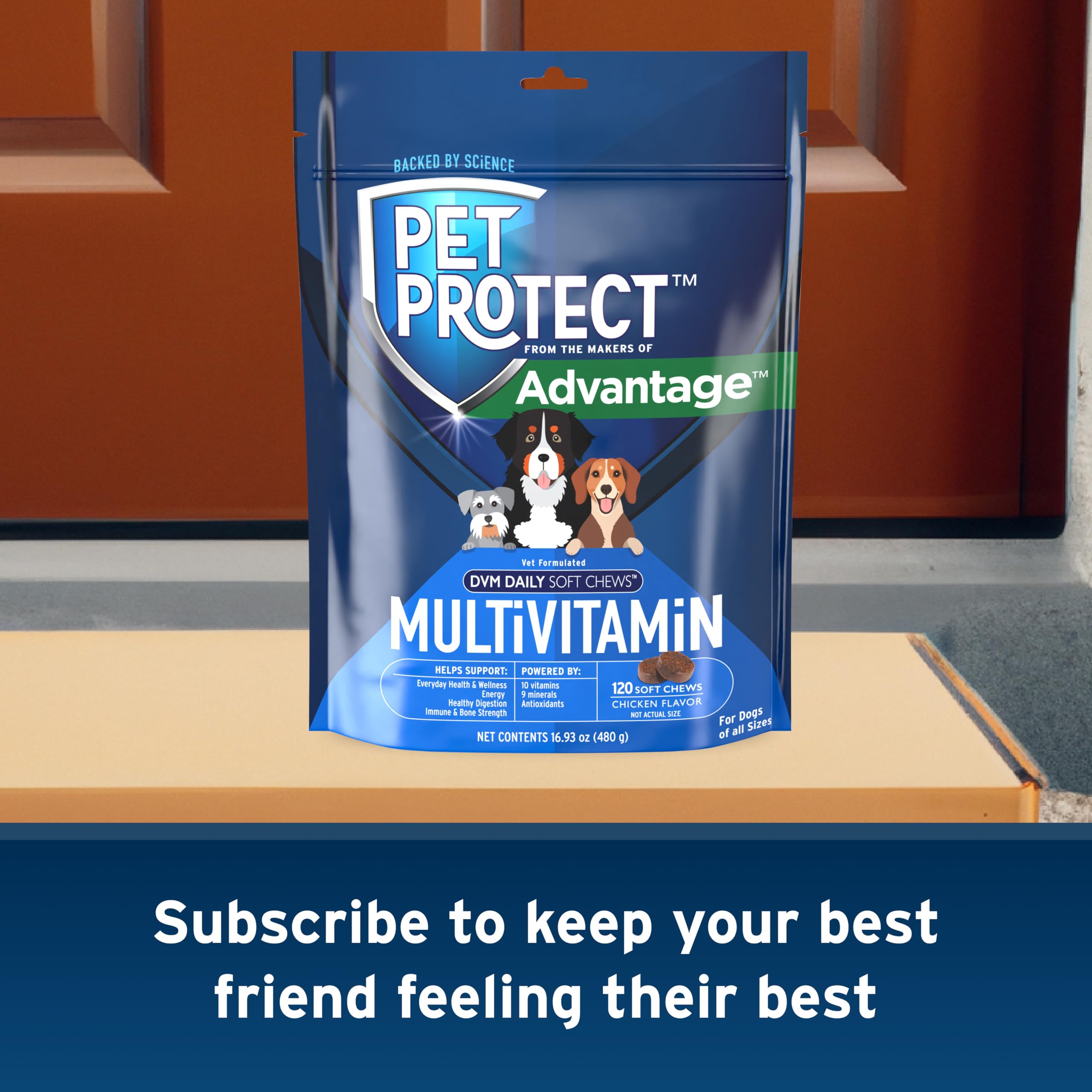 Pet Protect dans cuisine domestique suggérant usage quotidien pratique