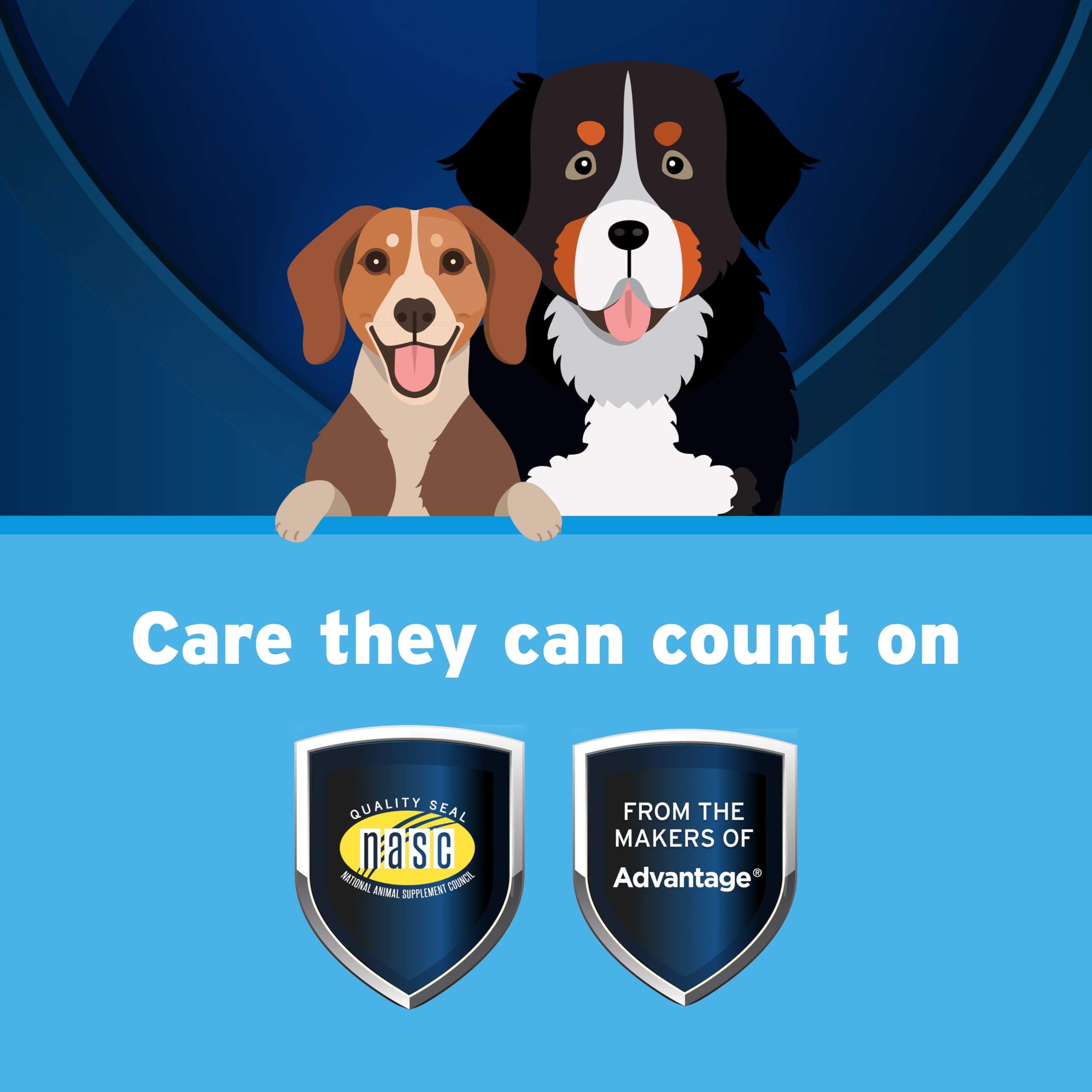 Pet Protect huile versée sur croquettes, rend l'alimentation appétente