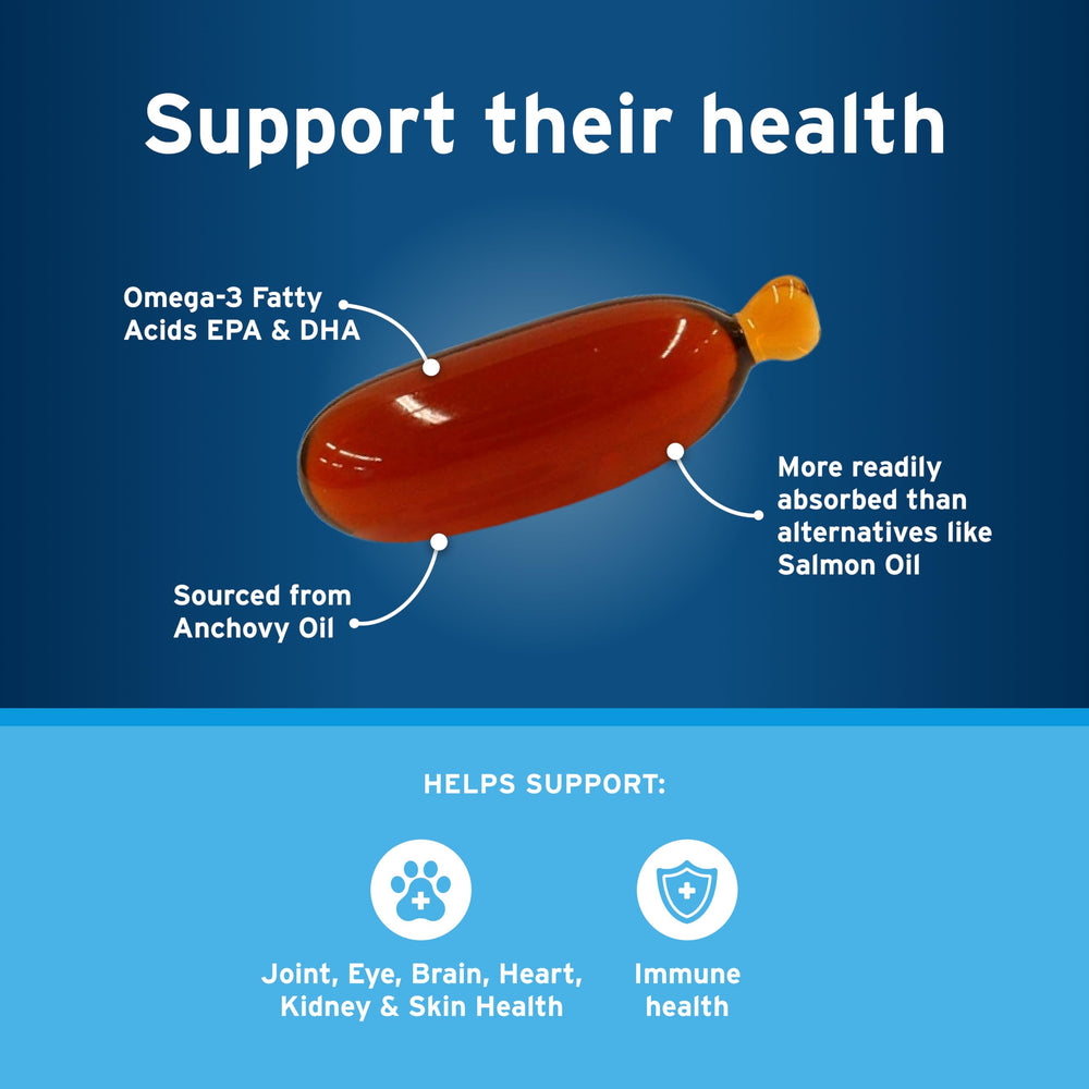 Pet Protect capsule ouverte Snip Tip montrant huile prête à être versée