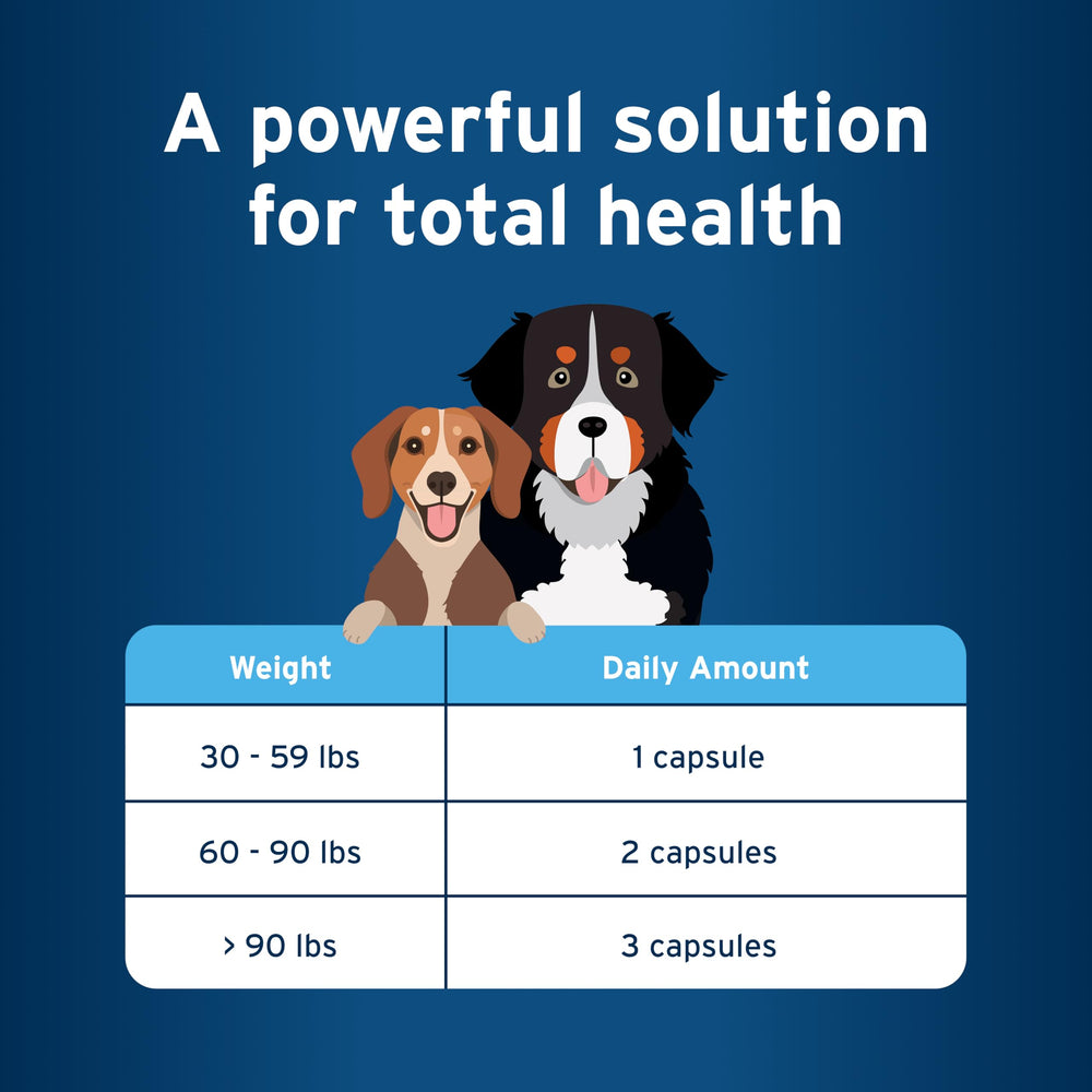 Pet Protect résultat d'analyse en laboratoire, indique contrôle métaux lourds