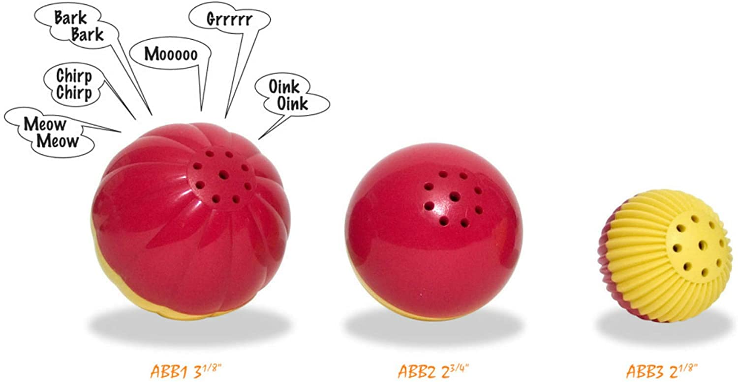 Pet Qwerks chien jouant avec Babble Ball favorisant activité et distraction