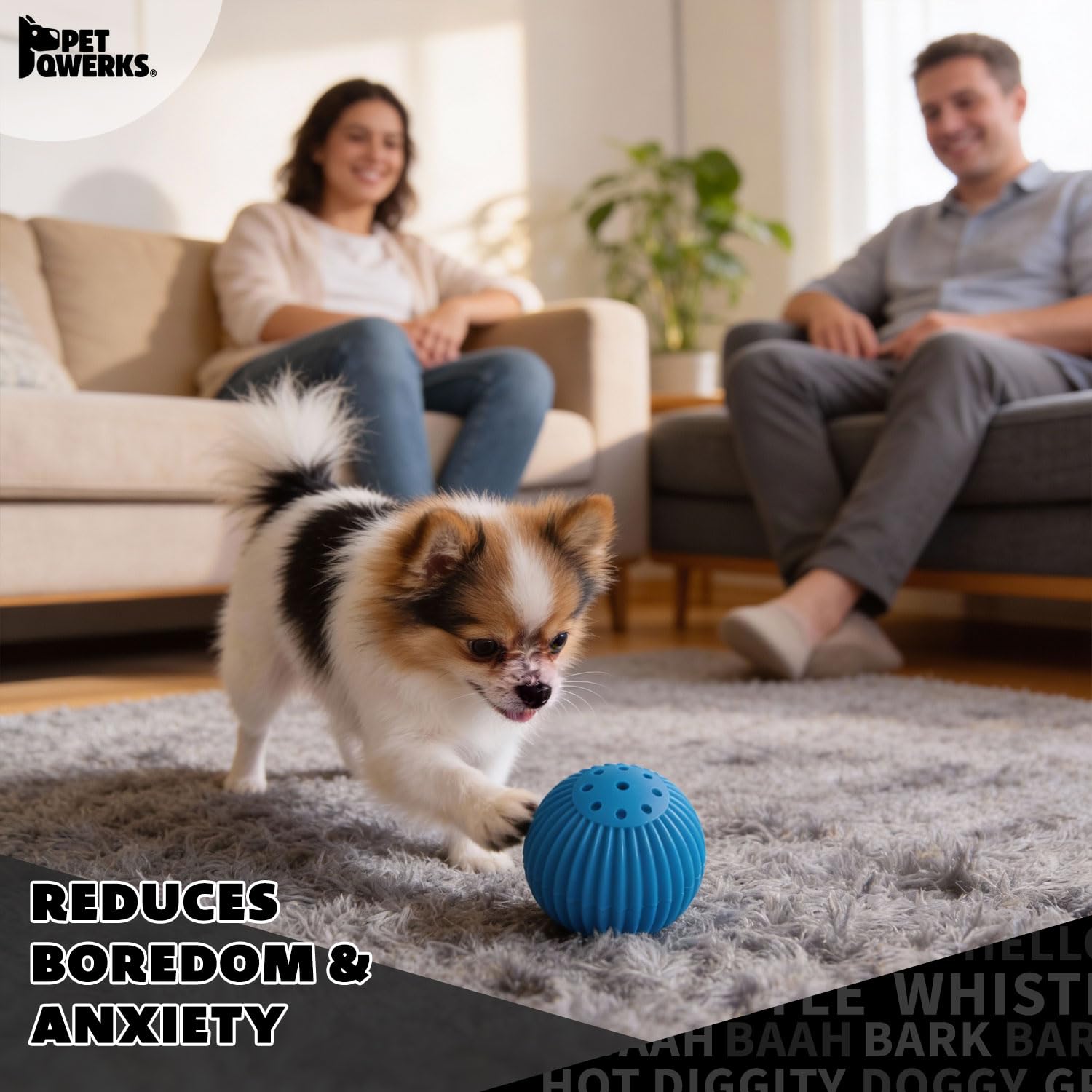Pet Qwerks Babble Ball étiquette et marquage indiquant qualité et sécurité