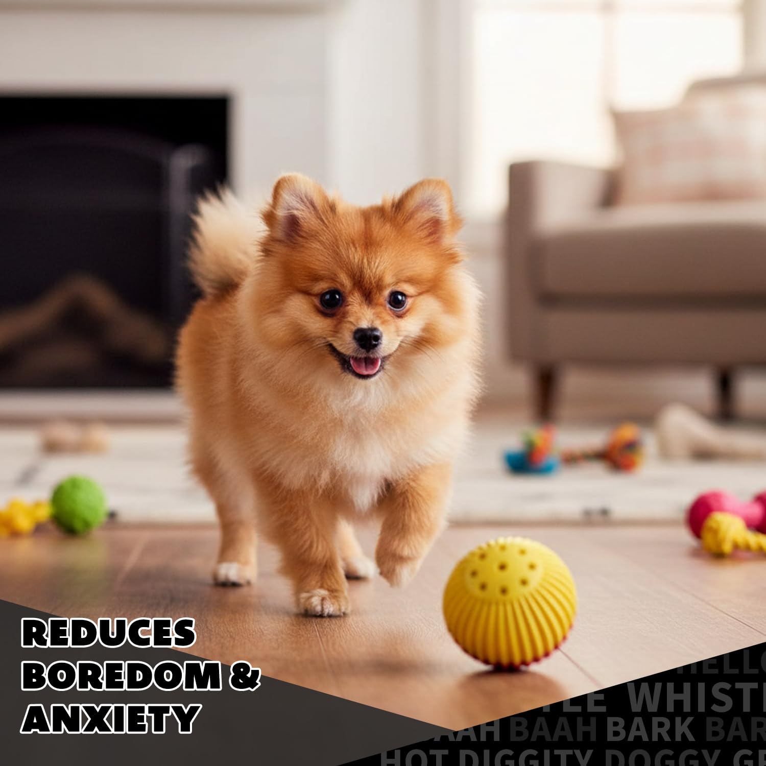 Pet Qwerks Babble Ball en main pour comparer taille et convenance grand chien