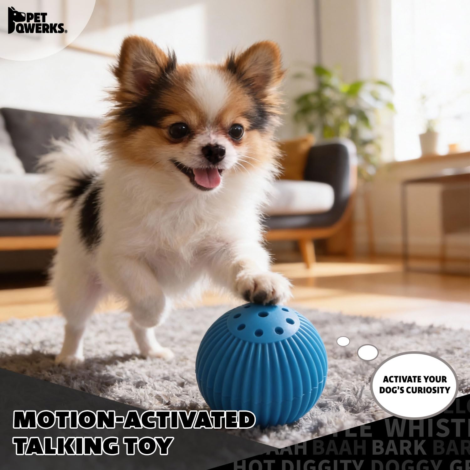Pet Qwerks Babble Ball en usage avec chien active jeu et engagement mental