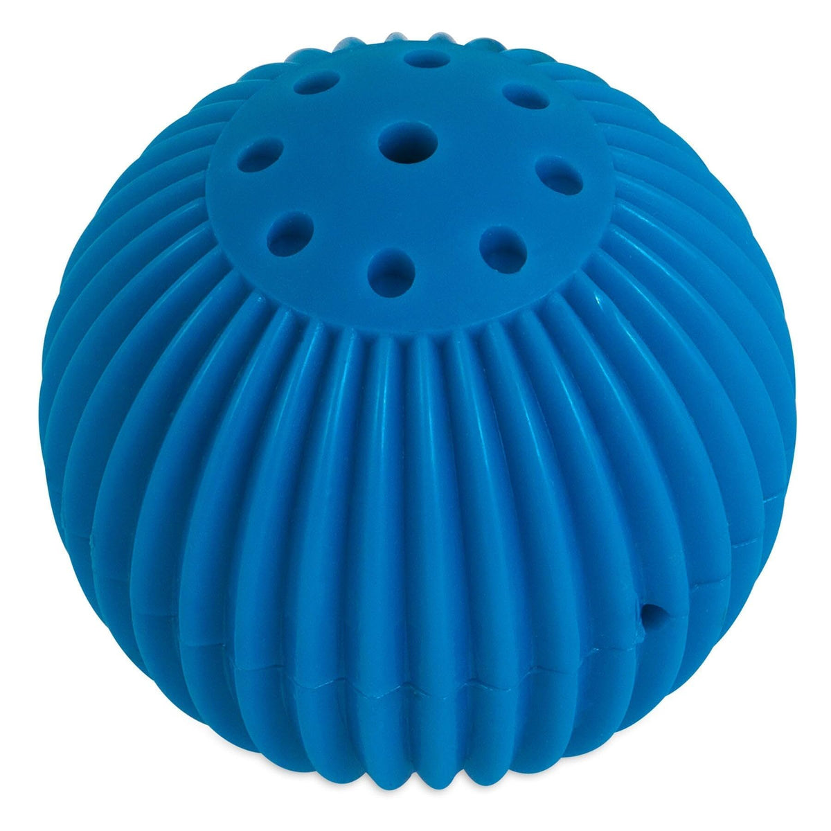 Pet Qwerks Babble Ball face avant montre conception résistante et stimulation sonore