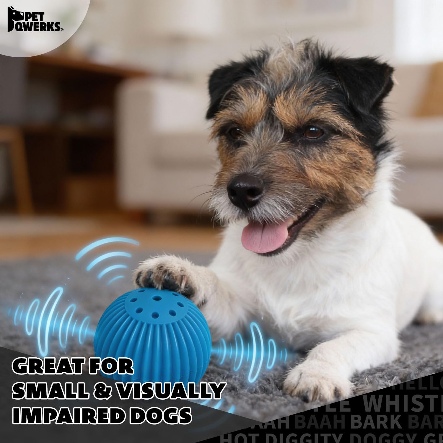 Pet Qwerks Babble Ball ouverture pile montrant accès pour remplacement simple