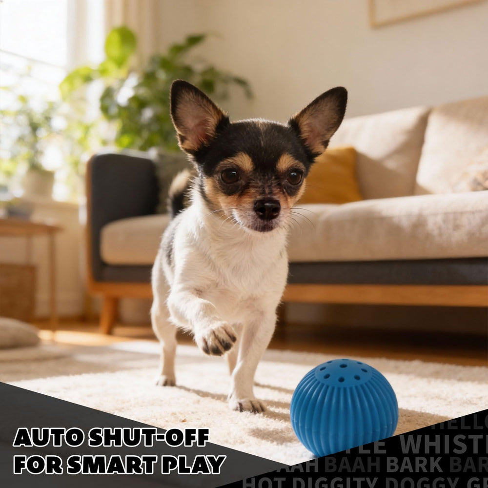 Pet Qwerks Babble Ball scène de vie sur canapé favorise jeu autonome et calme